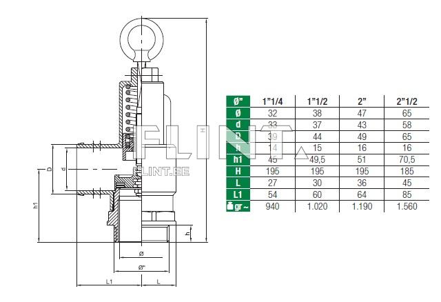 Safety valve with hose connection 2 1/2&amp;quot; MZ
