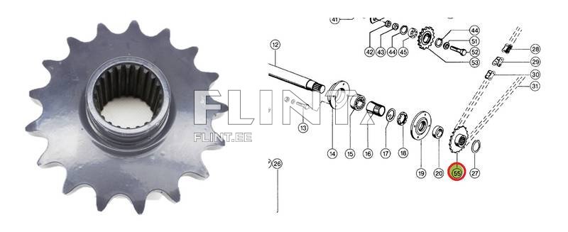 Hammasratas z17 818857 Claas Rollant