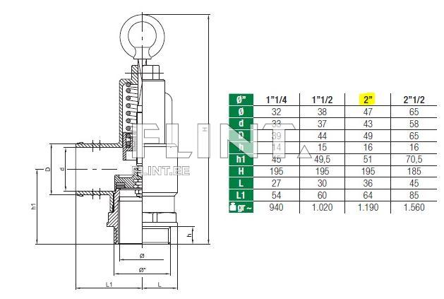 Safety valve with hose connection 2&amp;quot; MZ