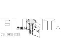 Pultti+mutteri M10x30 10,9 DIN603 (4-kanta pää)