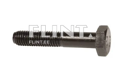 Polt M10x55 (12,9)